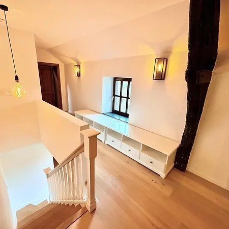 Luxury With Garden & Zipline *